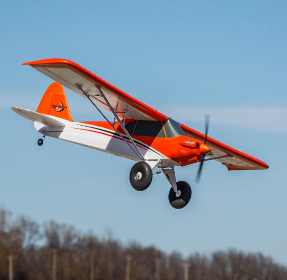 Carbon-Z Cub SS 2.1m BNF Basic with AS3X and SAFE Select