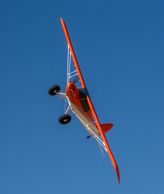 Carbon-Z Cub SS 2.1m BNF Basic with AS3X and SAFE Select