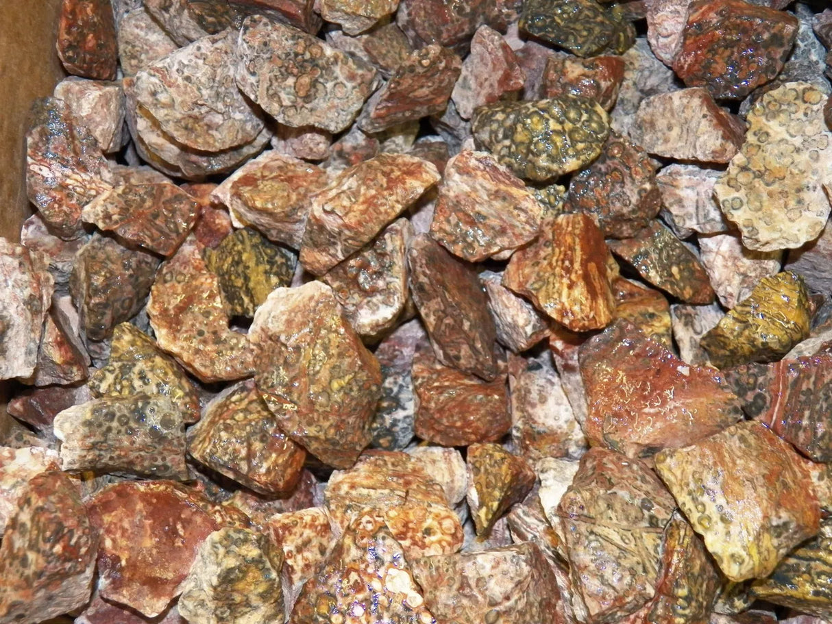 Thumler's Tumbler Leopard Skin Jasper Stones 1lb