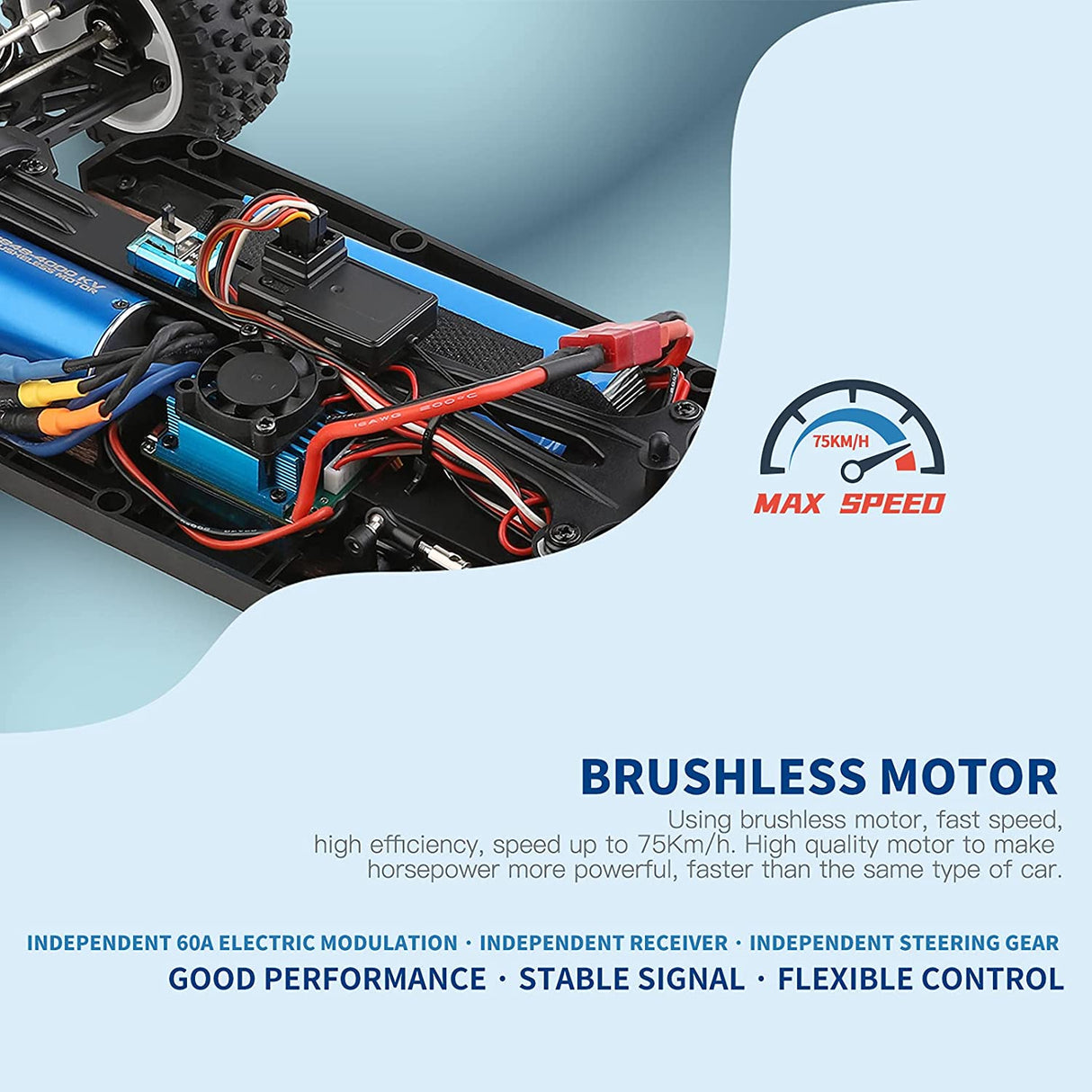 WL TOYS 124017 RC Car RTR 1/12 Escala 2.4GHz Control Remoto Coche 4WD Sin Escobillas