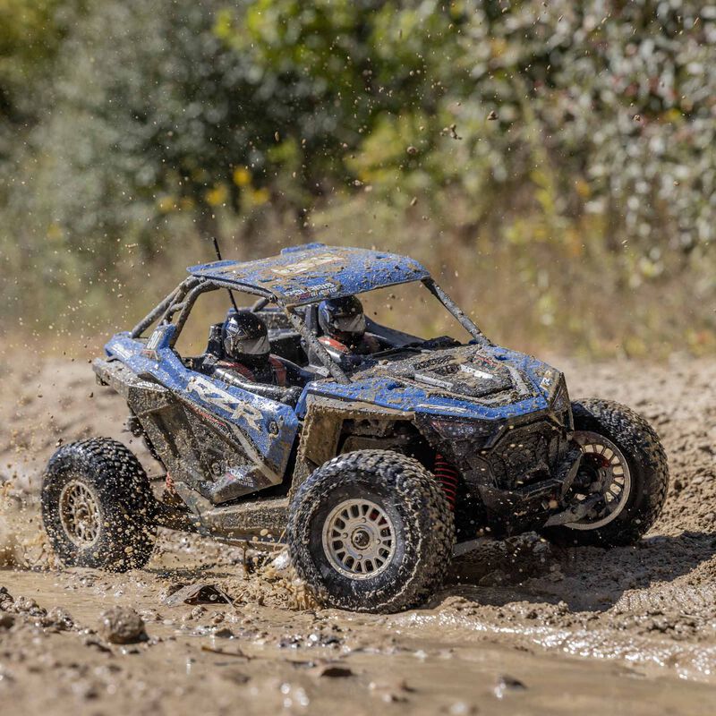 LOSI 1/10 RZR AZUL Rey 4WD Sin escobillas RTR, Polaris LOS03029T1