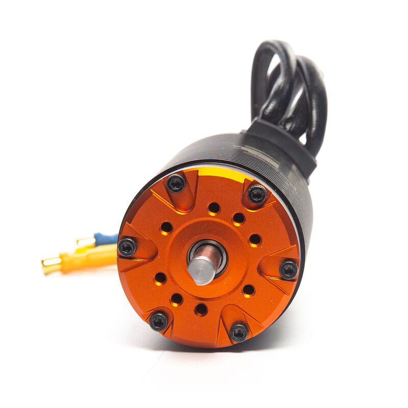 SPEKTRUM SPMXSM2600 Firma 800Kv 4-pole Brushless Motor