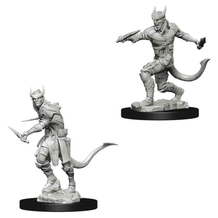 D&D Nolzur's Marvelous Minis: Tiefling Male Rogue (Clearance)
