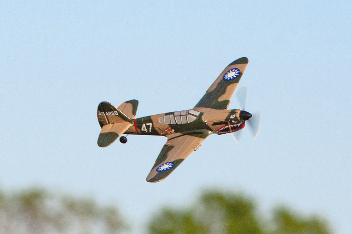RAGE RC RGRA1305 Curtiss P-40 Warhawk Micro RTF Airplane w/PASS