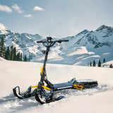 ICEX 1.0