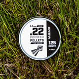 Arlow Pointed Tip .22 Caliber Pellets - 125 Count