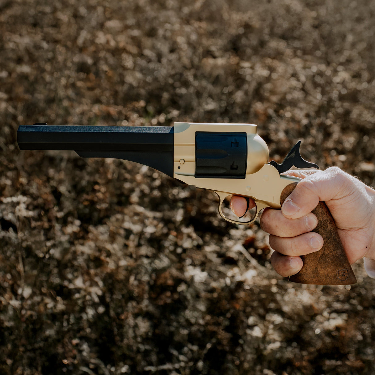 1858 CO2 Pistol Kit - Black & Gold