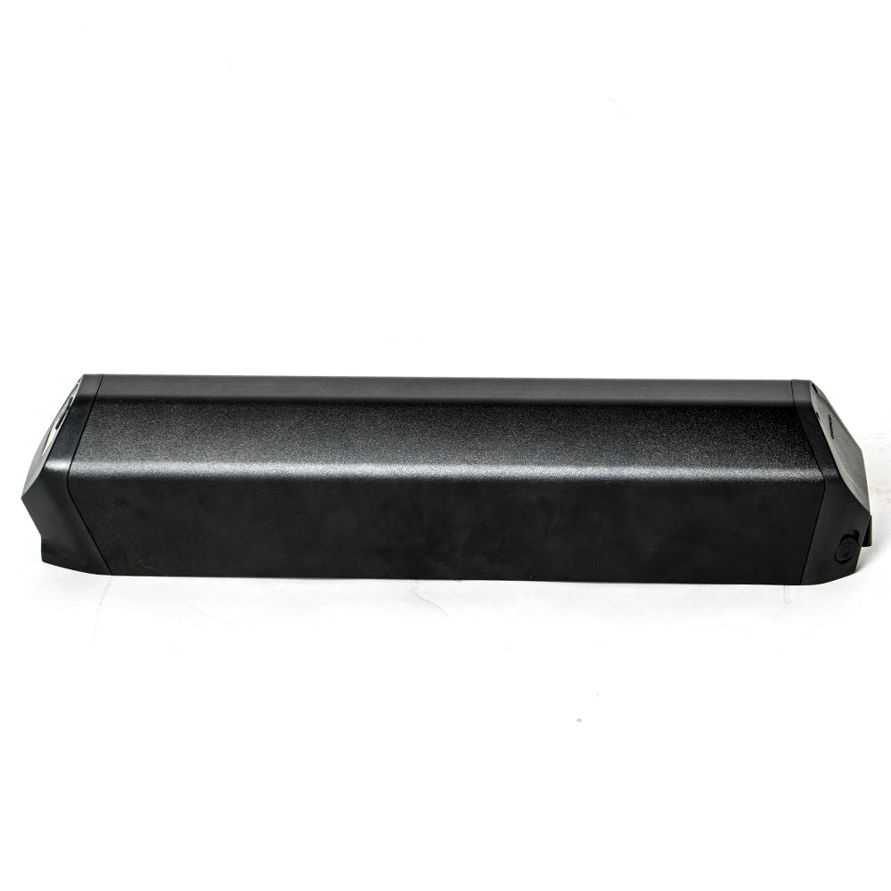 EUNORAU 48V25AH Reention Dorado ID-MAX Case Battery