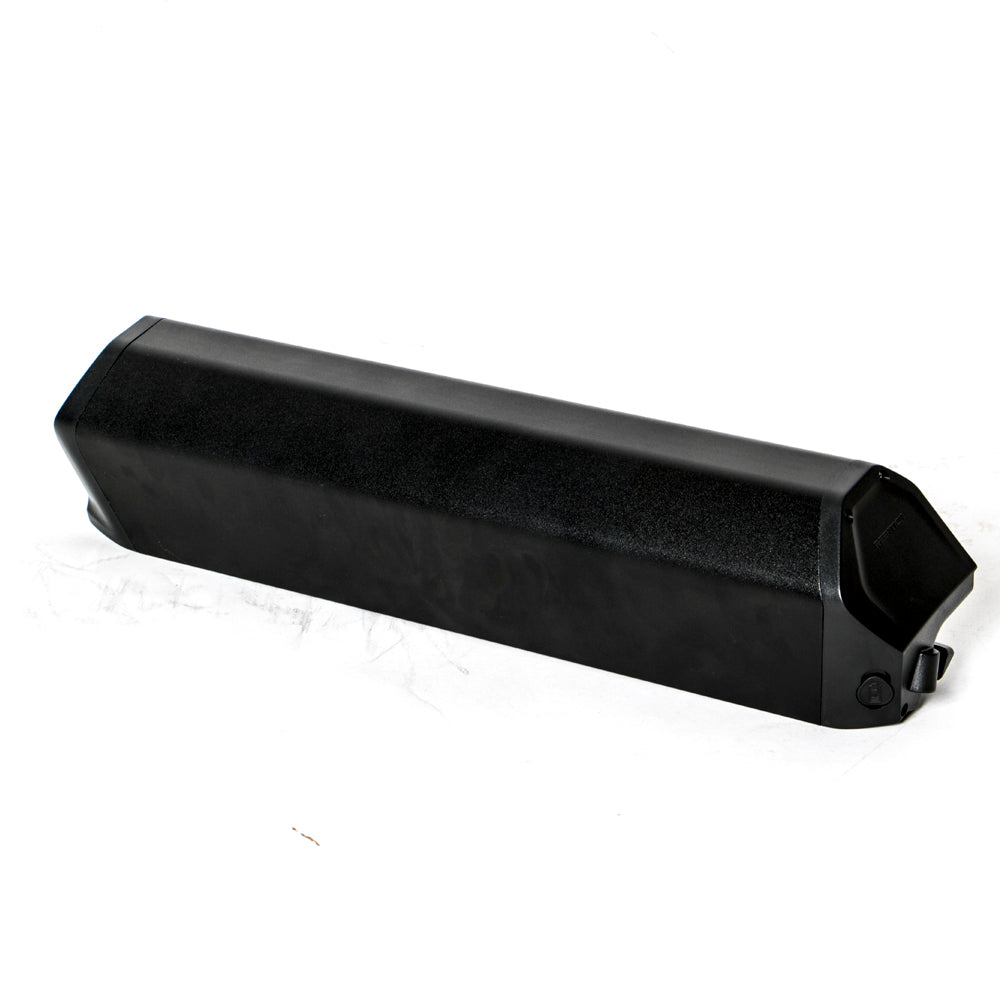 EUNORAU 48V25AH Reention Dorado ID-MAX Case Battery