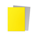 Dragon Shield: Yellow & Silver - Matte Dual Sleeves