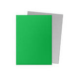 Dragon Shield: Apple Green & Silver - Matte Dual Sleeves