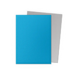 Dragon Shield: Sky Blue & Silver - Matte Dual Sleeves