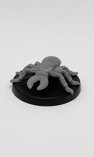 Cave Beetle