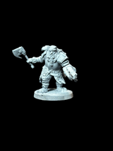 Dwarf Fighter (Clearance)