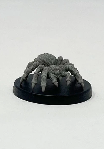 Giant Wolf Spider