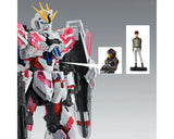 Bandai BAS2654117 MG 1/100 Narrative Gundam C-Packs (Ver. Ka) "Gundam NT" Model Kit