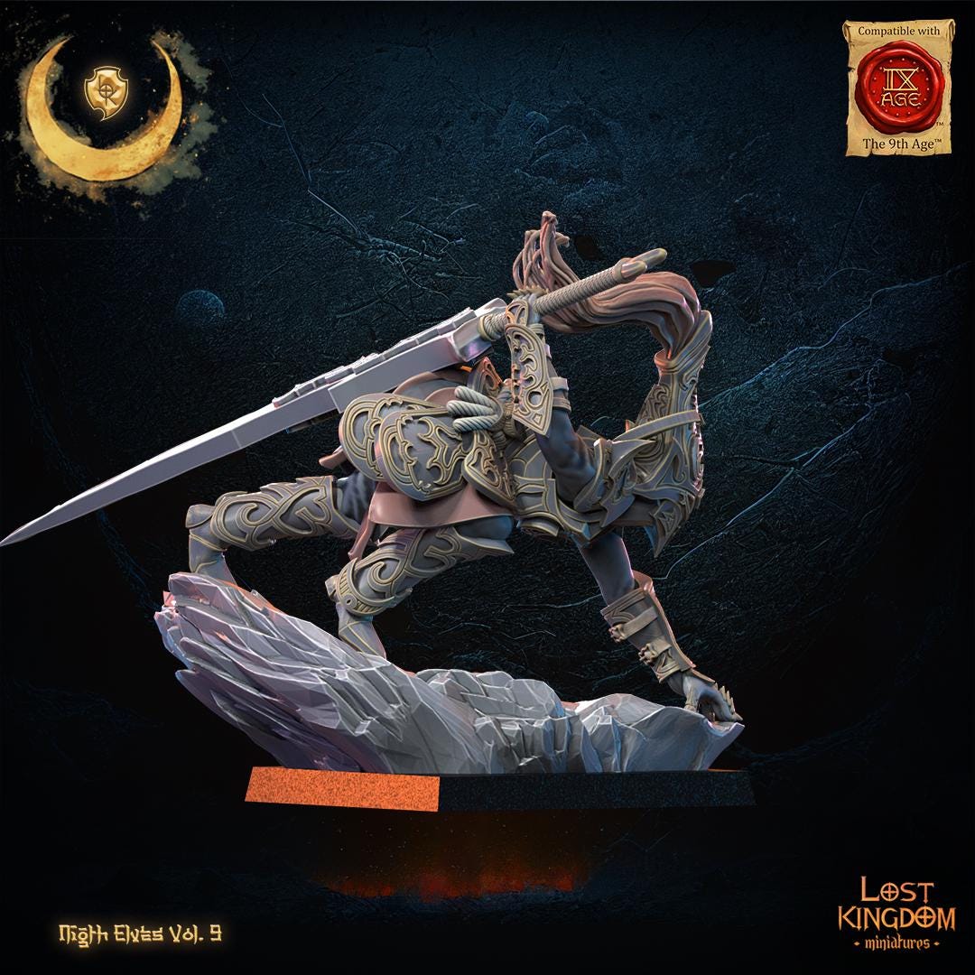 3D Printed Night Elf Ninja Hero by Lost Kingdom Miniatures