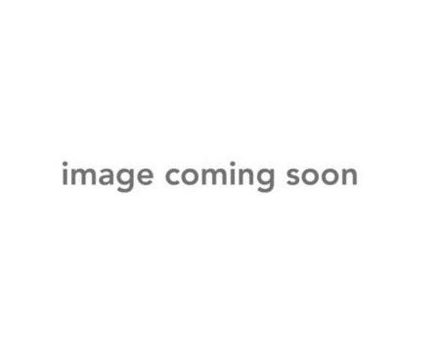 Team Losi Racing TLR244074 Shock Body Rear (2) 8ight XT / XTE
