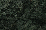 Woodland Scenics L164 N/HO Lichen Dark Green 1.5 Quarts Train Scenery