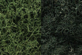 Woodland Scenics L168 N/HO Lichen DarkGreen Mix 3 Quarts Train Scenery