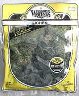 Woodland Scenics L168 N/HO Lichen DarkGreen Mix 3 Quarts Train Scenery