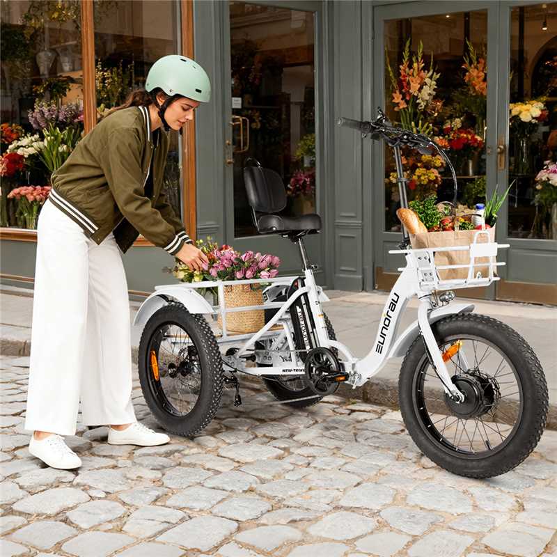NEW-TRIKE 2.0