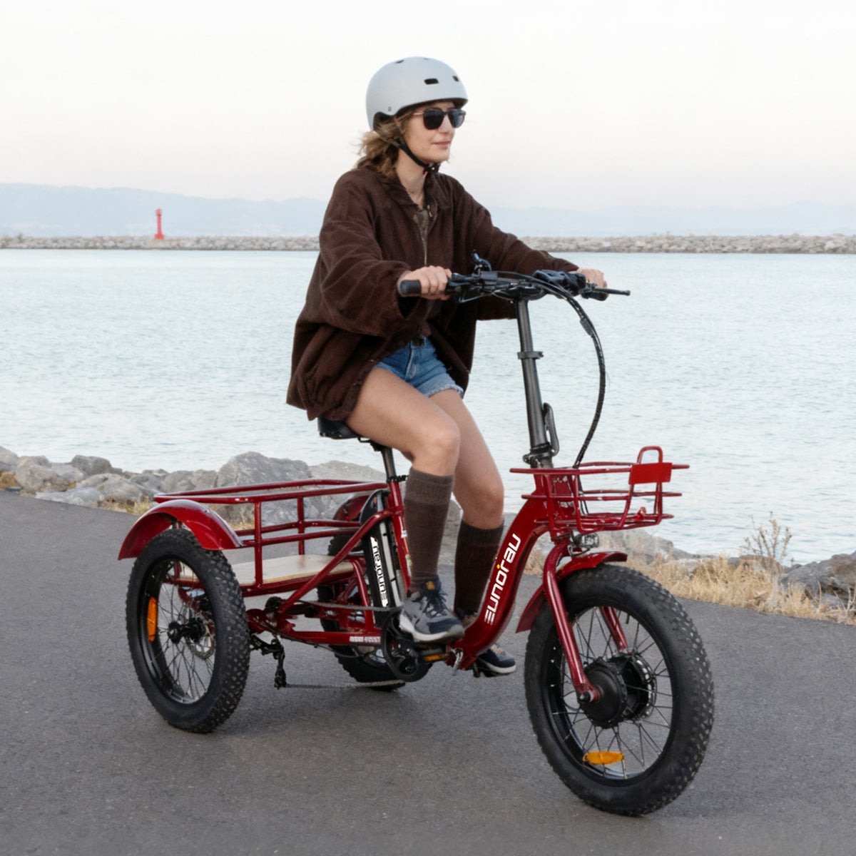 NEW-TRIKE 2.0