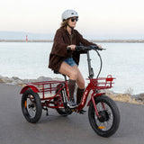 NEW-TRIKE 2.0