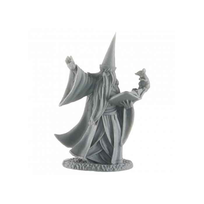 Legends: Human Wizard, Darius (Clearance)