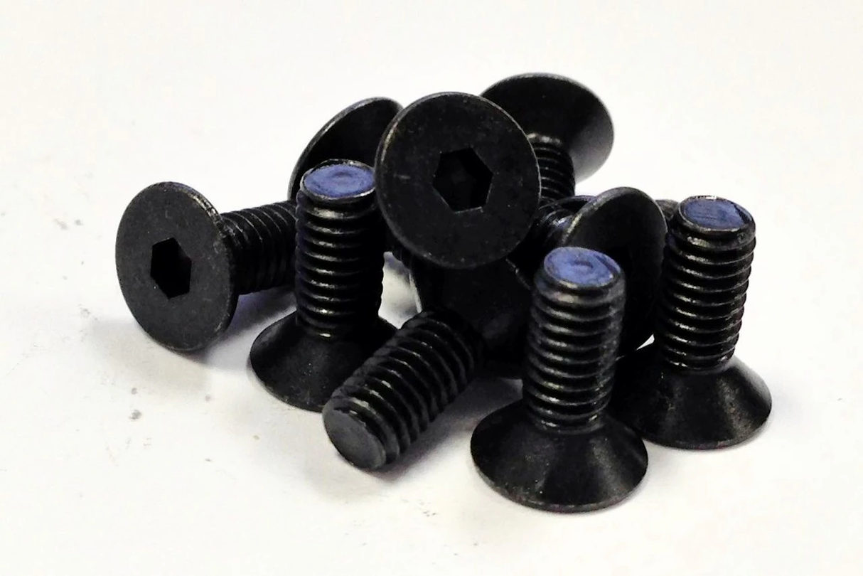 FAST EDDY M4X10 FHSC (10 Units Flat Head Cap Screw)